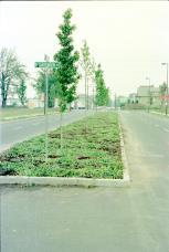 Archival Photo