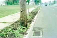 Archival Photo