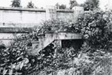 Archival Photo