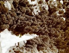 Archival Photo
