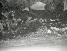 Archival Photo