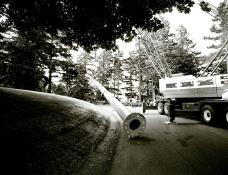 Archival Photo
