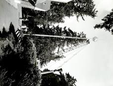Archival Photo