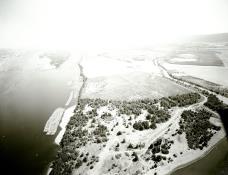 Archival Photo