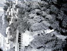 Archival Photo