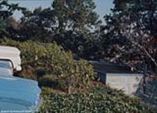 Archival Photo