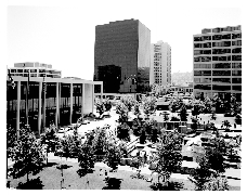 Archival Photo