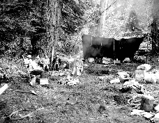 Archival Photo
