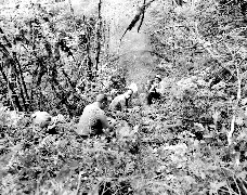 Archival Photo