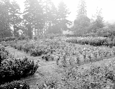 Archival Photo