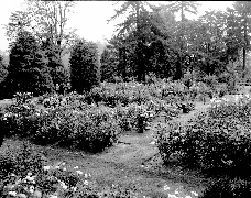 Archival Photo
