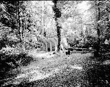 Archival Photo
