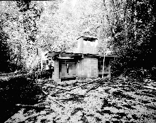 Archival Photo