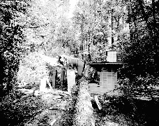 Archival Photo
