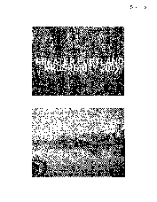 Council Document - Supplemental Document